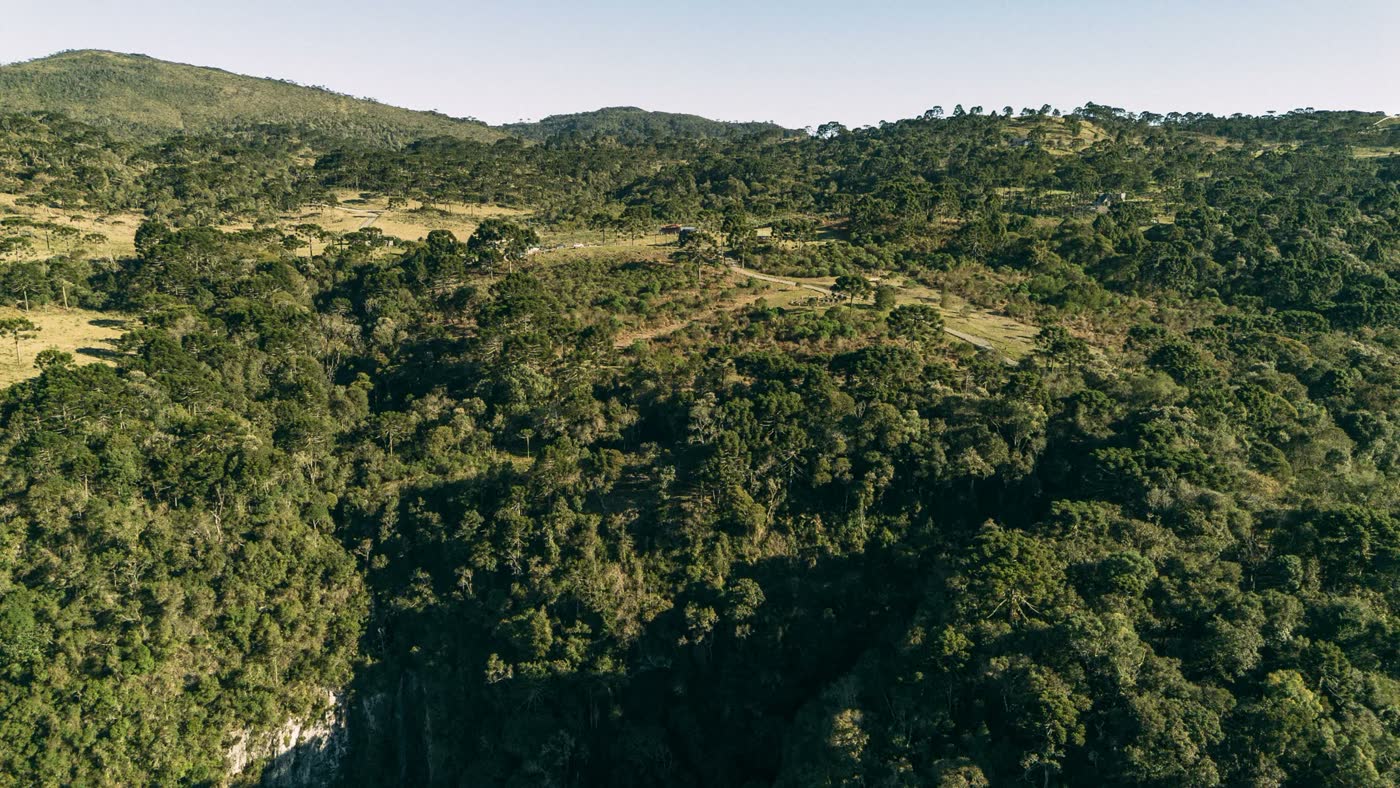 Vale coberto de mata atlântica na Serra Catarinense